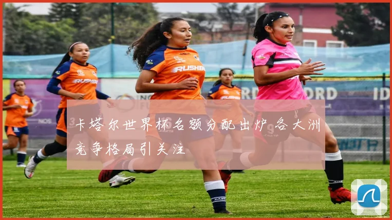 卡塔尔世界杯名额分配出炉 各大洲竞争格局引关注