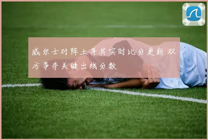 威尔士对阵土耳其实时比分更新 双方争夺关键出线分数
