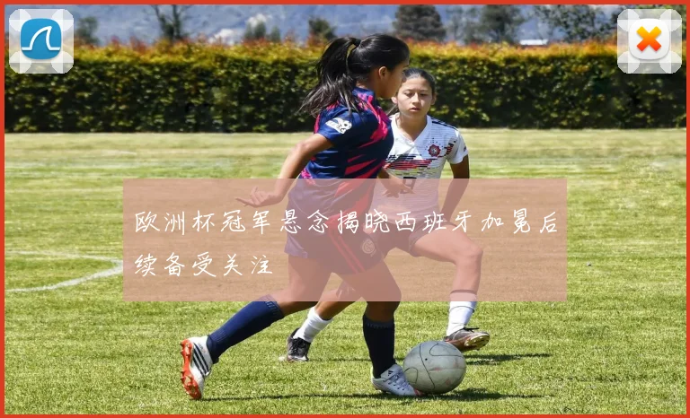 欧洲杯冠军悬念揭晓西班牙加冕后续备受关注