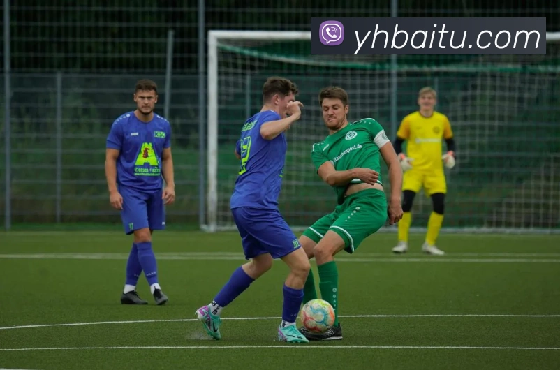 世界杯官方网络平台平台生态图