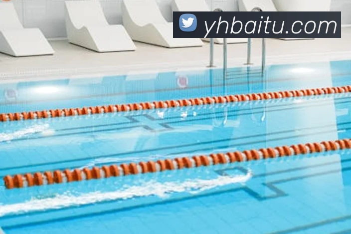 电竞数据